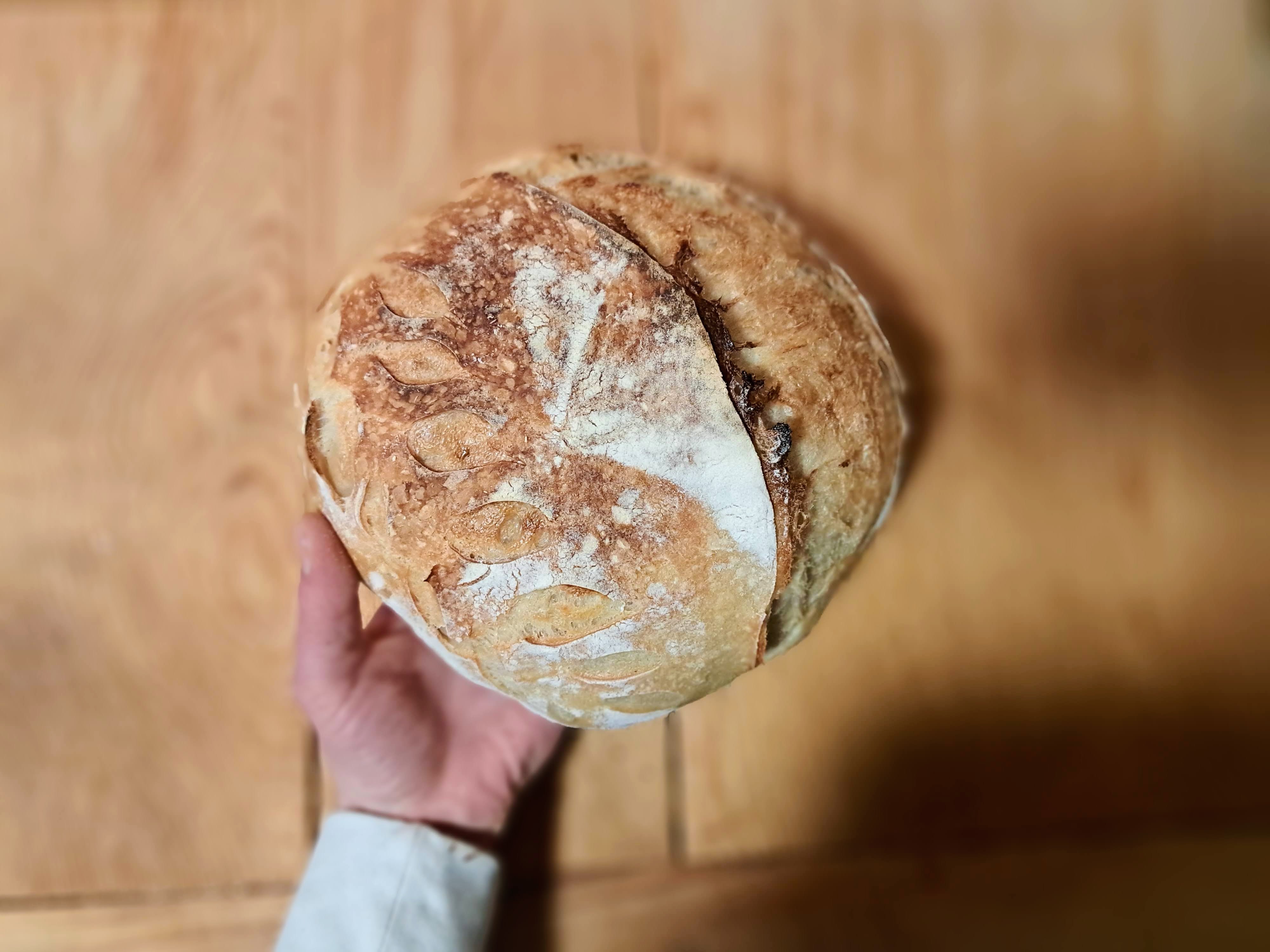 Easiest Workday, No-Knead Sourdough Bread