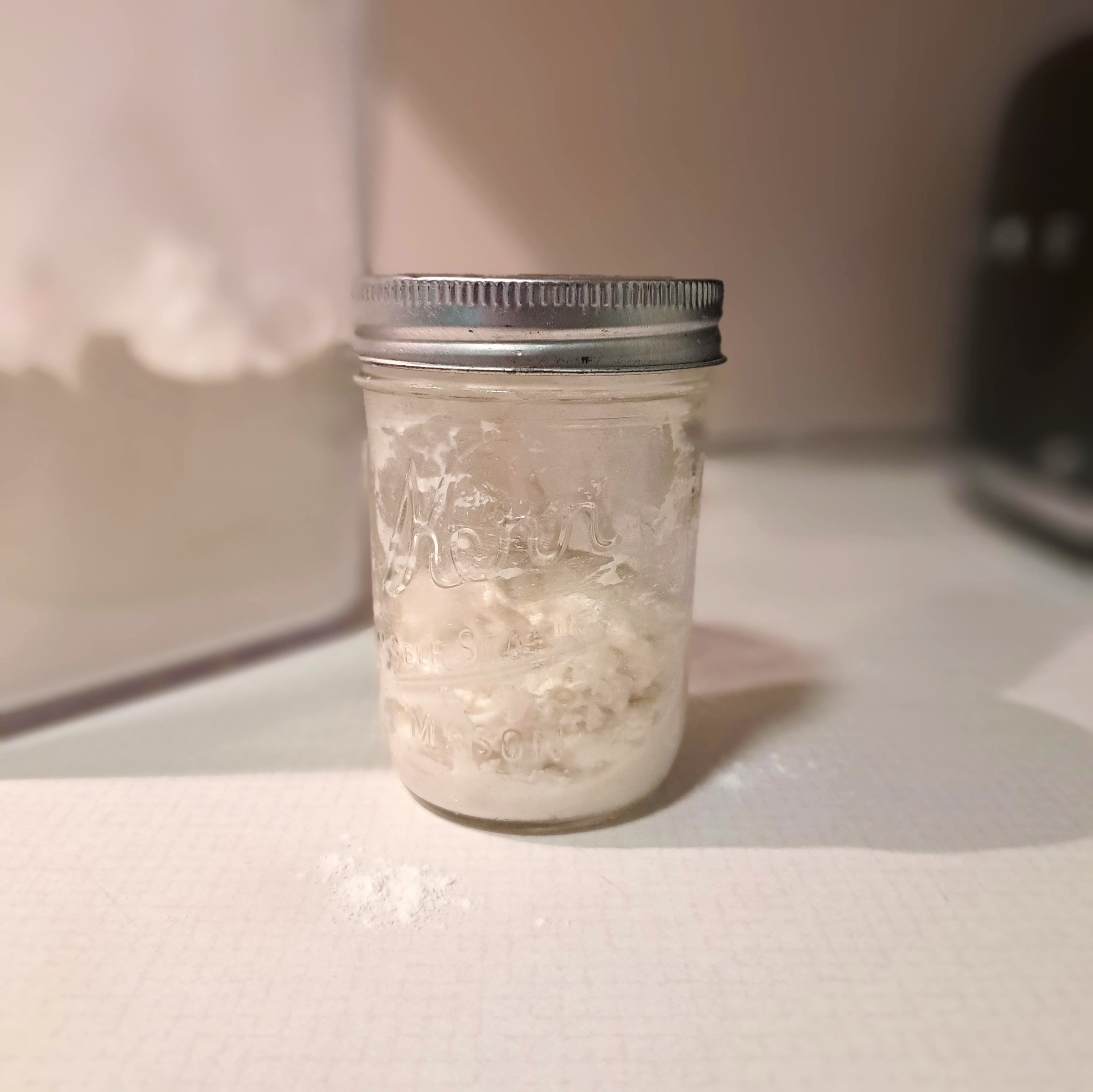 How to Store Your Sourdough Starter